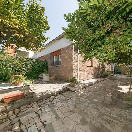 Appartamento Con Giardino A Due Passi Dal Mare ピオンビーノ エクステリア 写真